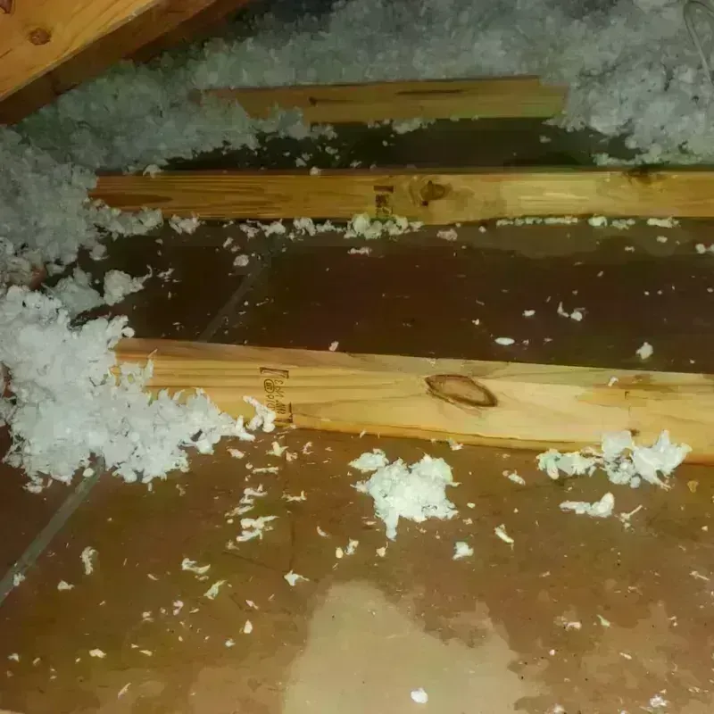 Attic Water Damage in Saluda County, SC